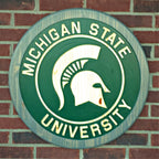 Michigan State Spartans Hand-Painted Wood Sign – MSU Wall Decor