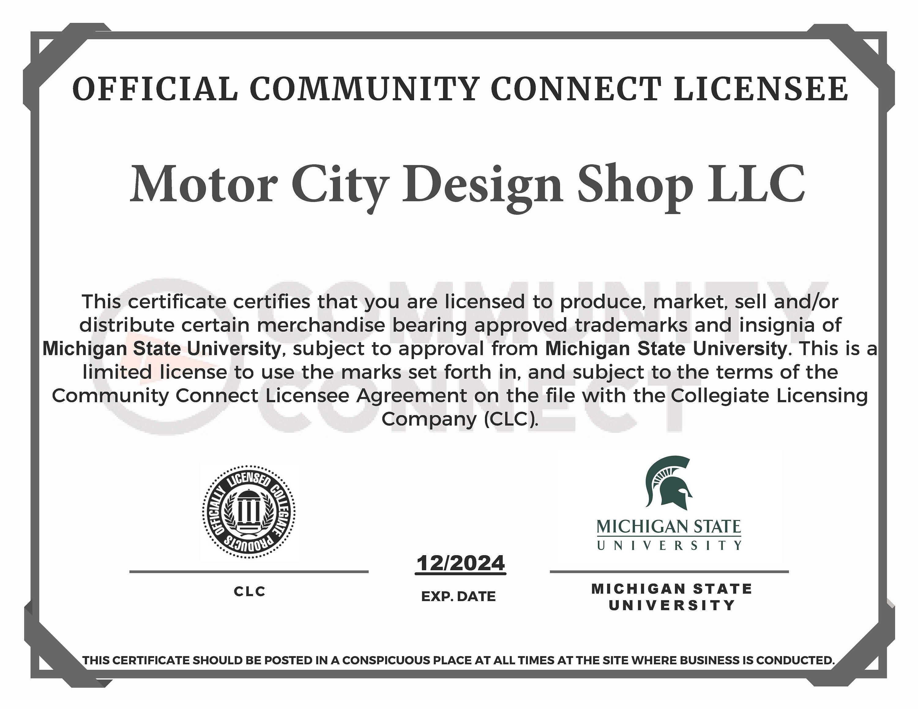 Michigan State Graduation Wood Sign: Custom Class of 2024, Spartan Decor