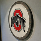 Ohio State Buckeyes side view
